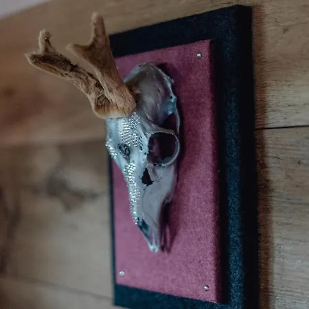 Olivia * ゼーフェルト・イン・チロル