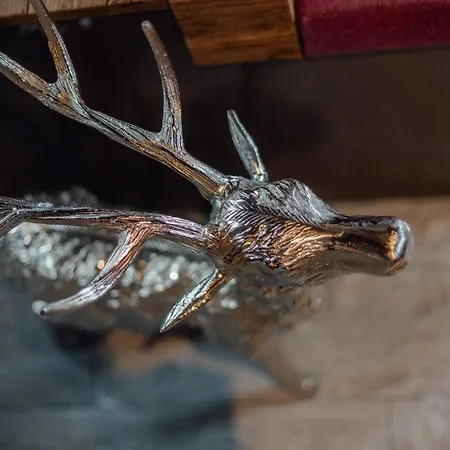 Olivia * 제펠드 인 티롤