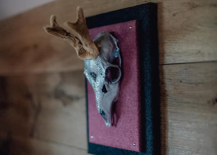 Olivia * Seefeld in Tirol