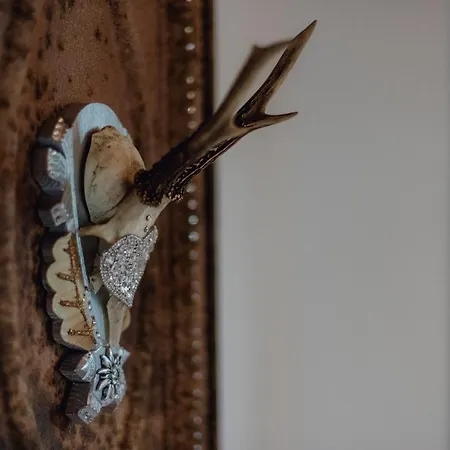 Alpehytte Olivia Seefeld in Tirol